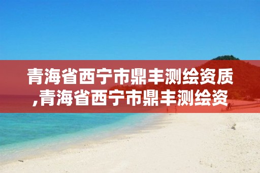 青海省西寧市鼎豐測繪資質(zhì),青海省西寧市鼎豐測繪資質(zhì)公司