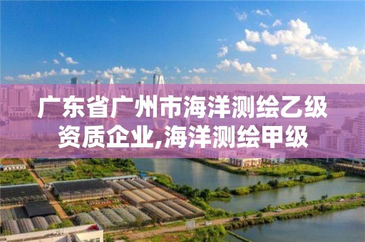 廣東省廣州市海洋測繪乙級資質企業,海洋測繪甲級