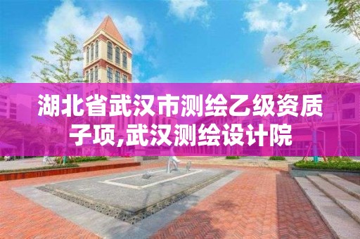 湖北省武漢市測繪乙級資質子項,武漢測繪設計院