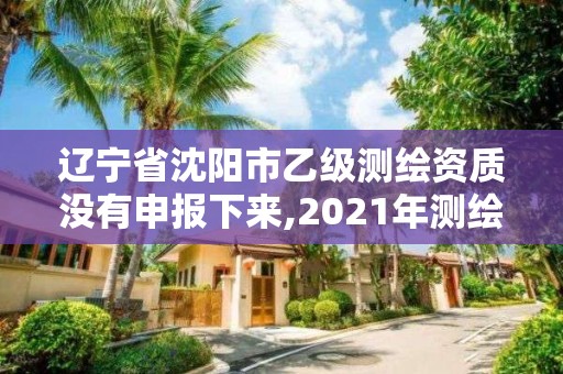 遼寧省沈陽市乙級測繪資質沒有申報下來,2021年測繪乙級資質申報條件。