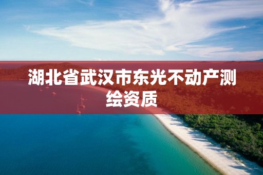 湖北省武漢市東光不動產(chǎn)測繪資質