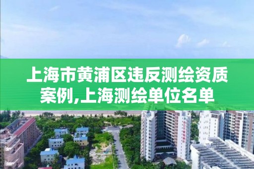 上海市黃浦區違反測繪資質案例,上海測繪單位名單