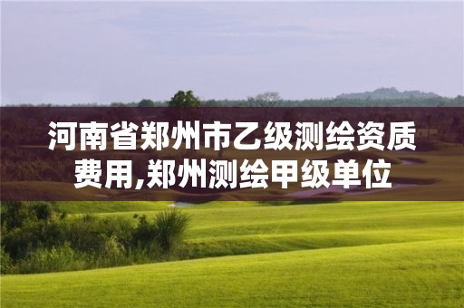 河南省鄭州市乙級(jí)測(cè)繪資質(zhì)費(fèi)用,鄭州測(cè)繪甲級(jí)單位