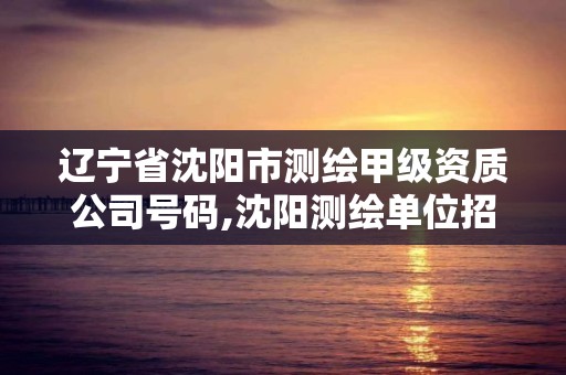 遼寧省沈陽市測繪甲級資質公司號碼,沈陽測繪單位招聘