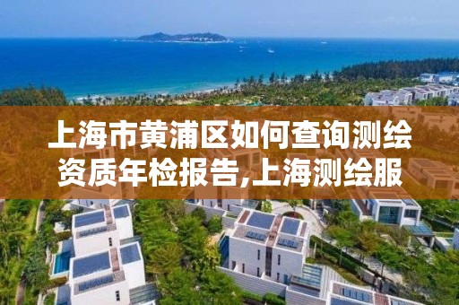 上海市黃浦區如何查詢測繪資質年檢報告,上海測繪服務中心