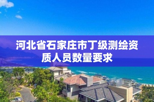 河北省石家莊市丁級測繪資質人員數量要求