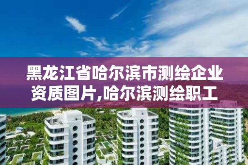 黑龍江省哈爾濱市測繪企業(yè)資質(zhì)圖片,哈爾濱測繪職工中等專業(yè)學(xué)校