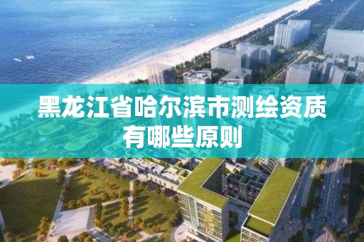 黑龍江省哈爾濱市測繪資質有哪些原則