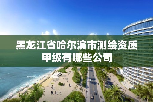 黑龍江省哈爾濱市測繪資質甲級有哪些公司