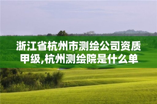 浙江省杭州市測繪公司資質甲級,杭州測繪院是什么單位