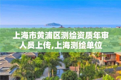 上海市黃浦區測繪資質年審人員上傳,上海測繪單位