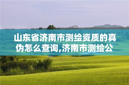 山東省濟南市測繪資質的真偽怎么查詢,濟南市測繪公司