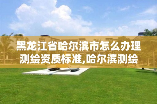 黑龍江省哈爾濱市怎么辦理測繪資質標準,哈爾濱測繪局幼兒園是民辦還是公辦