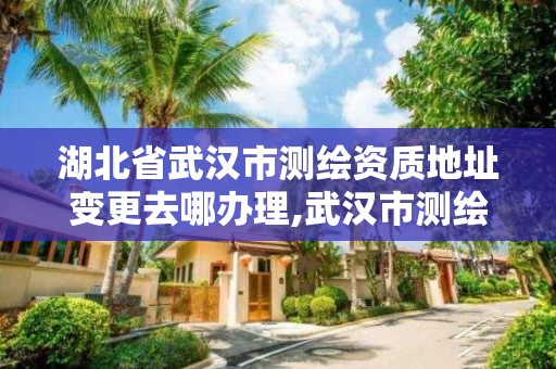 湖北省武漢市測繪資質(zhì)地址變更去哪辦理,武漢市測繪地理信息局。