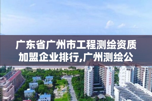 廣東省廣州市工程測繪資質加盟企業排行,廣州測繪公司排名