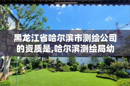 黑龍江省哈爾濱市測繪公司的資質是,哈爾濱測繪局幼兒園是民辦還是公辦