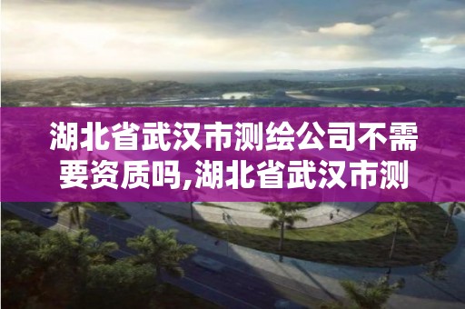 湖北省武漢市測繪公司不需要資質嗎,湖北省武漢市測繪公司不需要資質嗎現在。