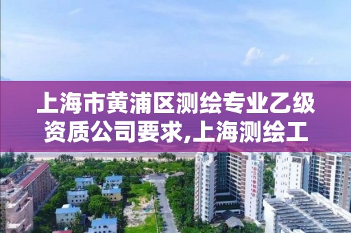 上海市黃浦區測繪專業乙級資質公司要求,上海測繪工程師職稱評定條件及流程