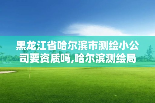 黑龍江省哈爾濱市測繪小公司要資質嗎,哈爾濱測繪局是干什么的。