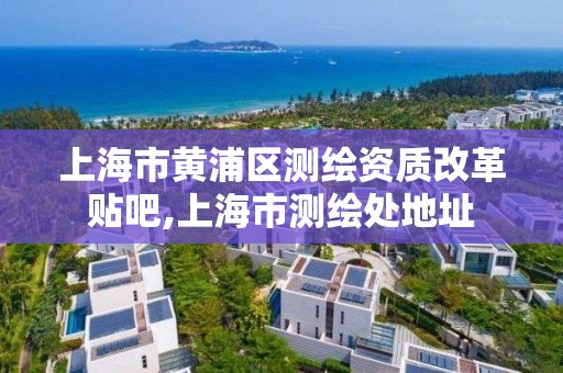 上海市黃浦區(qū)測繪資質(zhì)改革貼吧,上海市測繪處地址