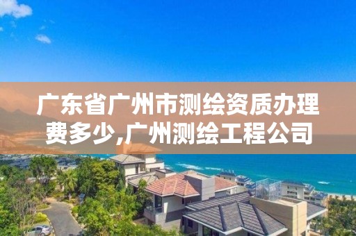 廣東省廣州市測繪資質辦理費多少,廣州測繪工程公司