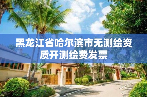 黑龍江省哈爾濱市無測繪資質開測繪費發票