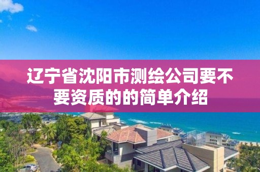 遼寧省沈陽市測繪公司要不要資質(zhì)的的簡單介紹