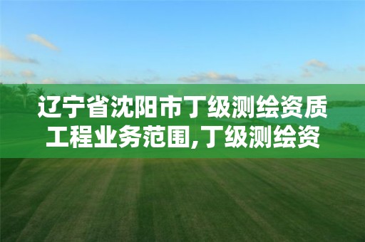 遼寧省沈陽市丁級測繪資質工程業務范圍,丁級測繪資質能承擔的業務。