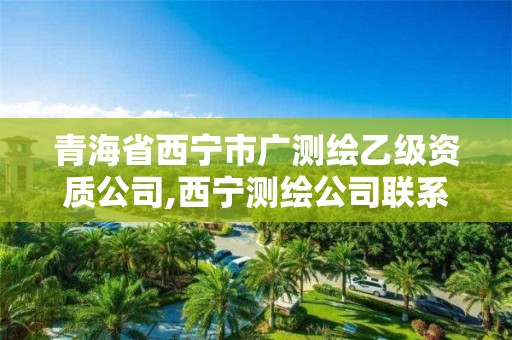 青海省西寧市廣測繪乙級資質公司,西寧測繪公司聯系方式