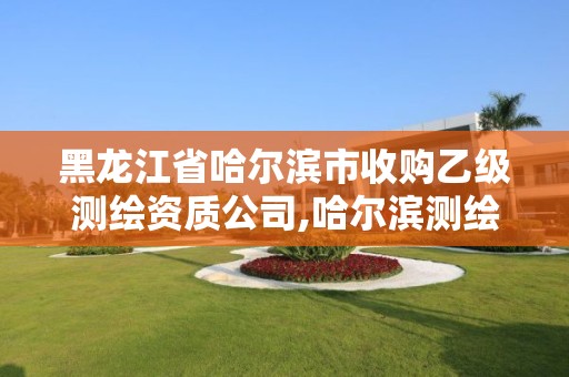 黑龍江省哈爾濱市收購乙級測繪資質公司,哈爾濱測繪公司招聘