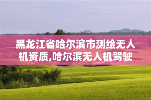 黑龍江省哈爾濱市測繪無人機資質,哈爾濱無人機駕駛證培訓學校