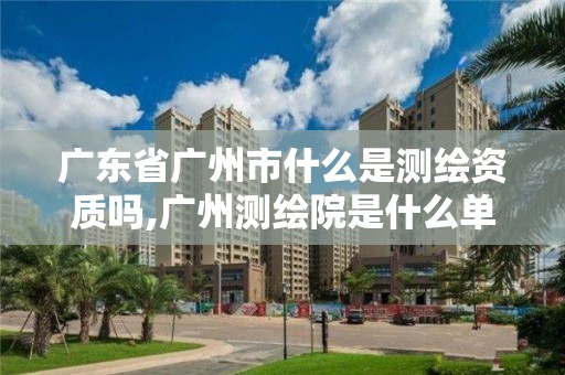 廣東省廣州市什么是測繪資質嗎,廣州測繪院是什么單位