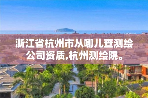 浙江省杭州市從哪兒查測繪公司資質,杭州測繪院。