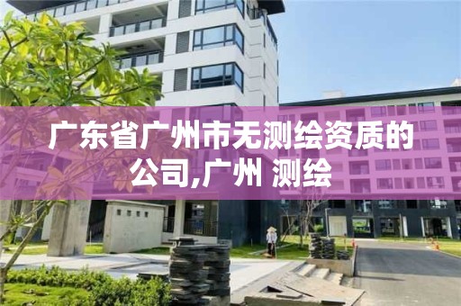 廣東省廣州市無測繪資質的公司,廣州 測繪