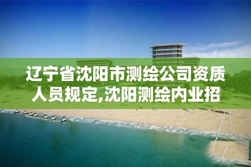 遼寧省沈陽市測繪公司資質人員規定,沈陽測繪內業招聘