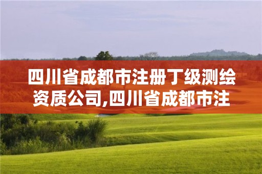 四川省成都市注冊丁級測繪資質公司,四川省成都市注冊丁級測繪資質公司有多少家