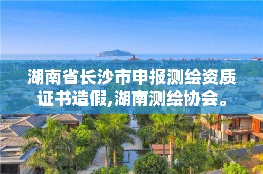 湖南省長沙市申報測繪資質證書造假,湖南測繪協(xié)會。