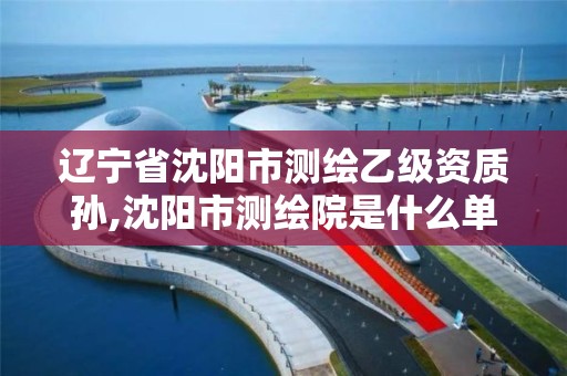 遼寧省沈陽市測繪乙級資質孫,沈陽市測繪院是什么單位