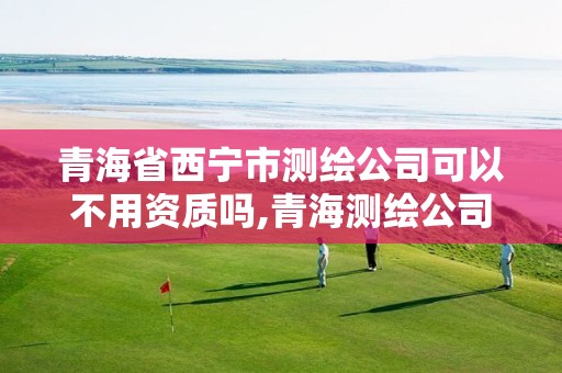 青海省西寧市測繪公司可以不用資質嗎,青海測繪公司有哪些