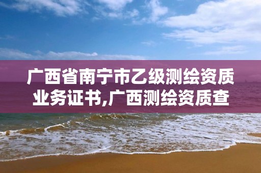 廣西省南寧市乙級測繪資質業務證書,廣西測繪資質查詢