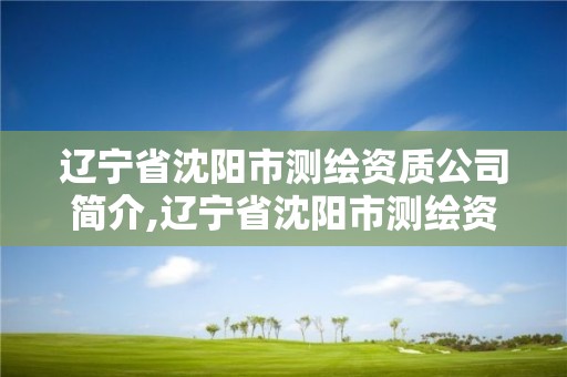 遼寧省沈陽市測(cè)繪資質(zhì)公司簡介,遼寧省沈陽市測(cè)繪資質(zhì)公司簡介