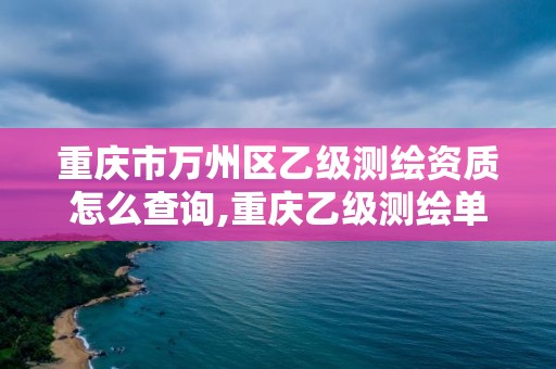 重慶市萬州區(qū)乙級測繪資質(zhì)怎么查詢,重慶乙級測繪單位