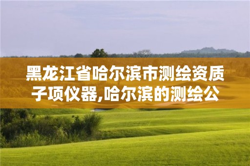 黑龍江省哈爾濱市測繪資質子項儀器,哈爾濱的測繪公司有哪些