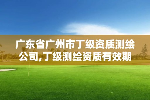 廣東省廣州市丁級(jí)資質(zhì)測(cè)繪公司,丁級(jí)測(cè)繪資質(zhì)有效期為什么那么短