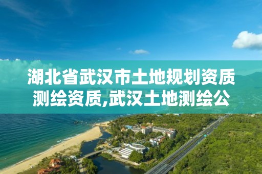 湖北省武漢市土地規劃資質測繪資質,武漢土地測繪公司