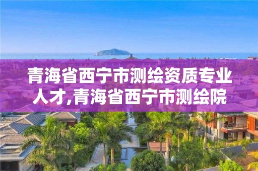 青海省西寧市測繪資質專業人才,青海省西寧市測繪院