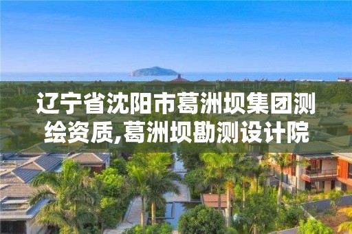 遼寧省沈陽市葛洲壩集團測繪資質,葛洲壩勘測設計院