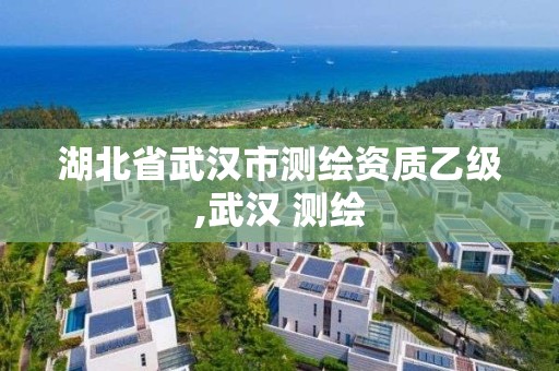 湖北省武漢市測繪資質乙級,武漢 測繪