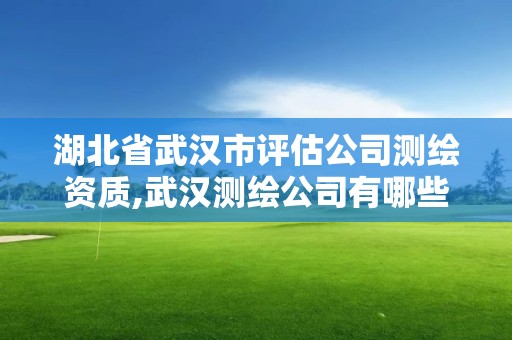 湖北省武漢市評估公司測繪資質,武漢測繪公司有哪些