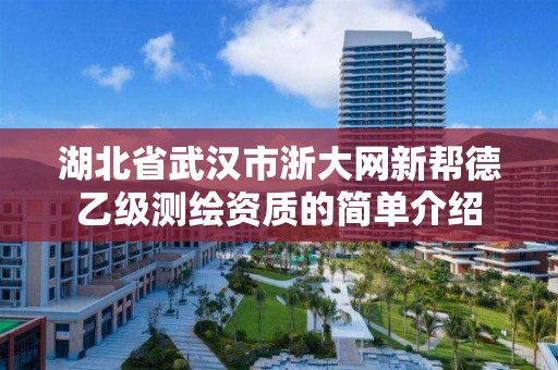 湖北省武漢市浙大網新幫德乙級測繪資質的簡單介紹